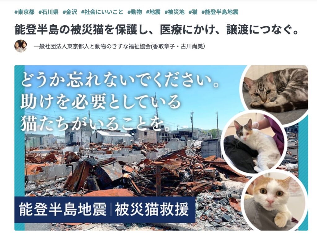 能登半島地震　被災猫救援のクラウドファンディング、本日より始まりました。皆さまの応援をどうぞよろしくお願いします。