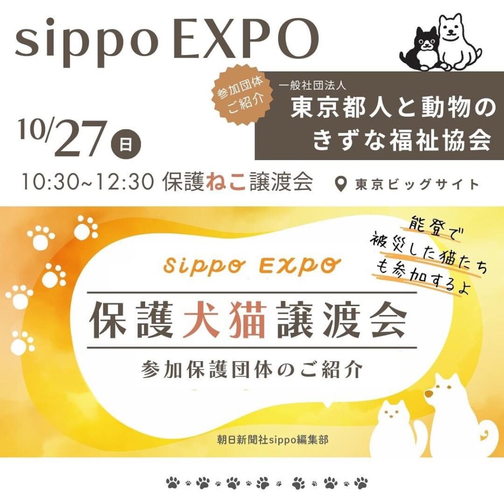 sippo Expo 保護犬猫譲渡会参加のお知らせ！