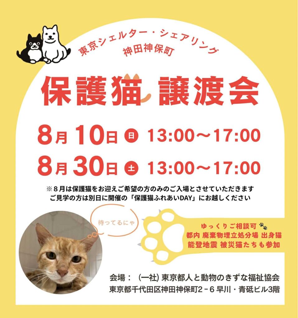 ８月オープンシェルター保護猫譲渡会のご案内