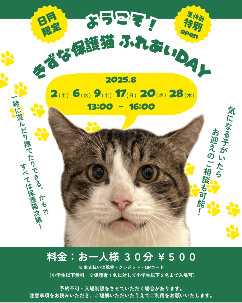 8月限定！きずな保護猫ふれあいDAY開催