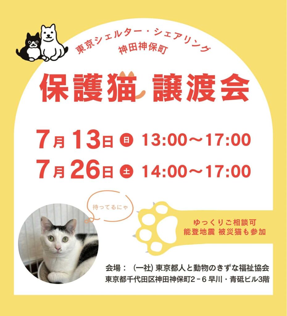 ７月オープンシェルター保護猫譲渡会のご案内