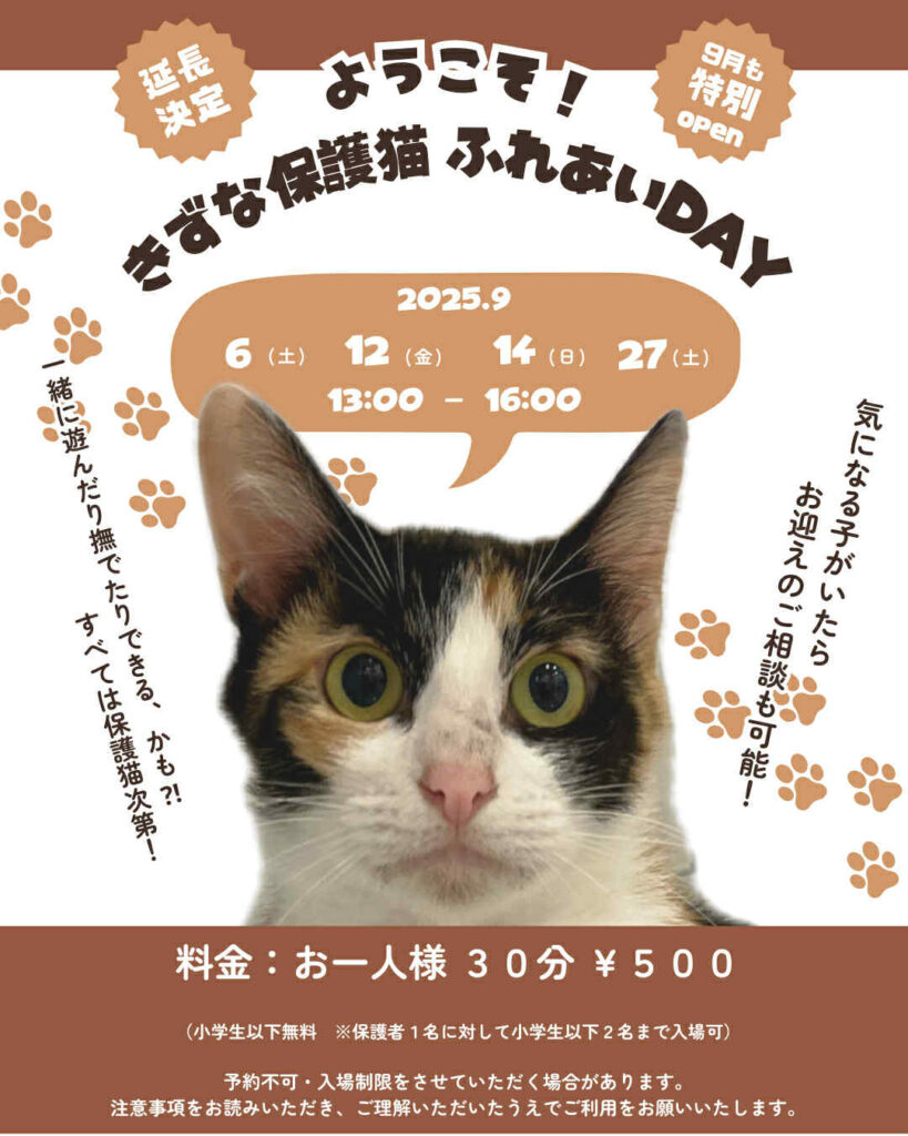 延長！きずな保護猫ふれあいDAY開催