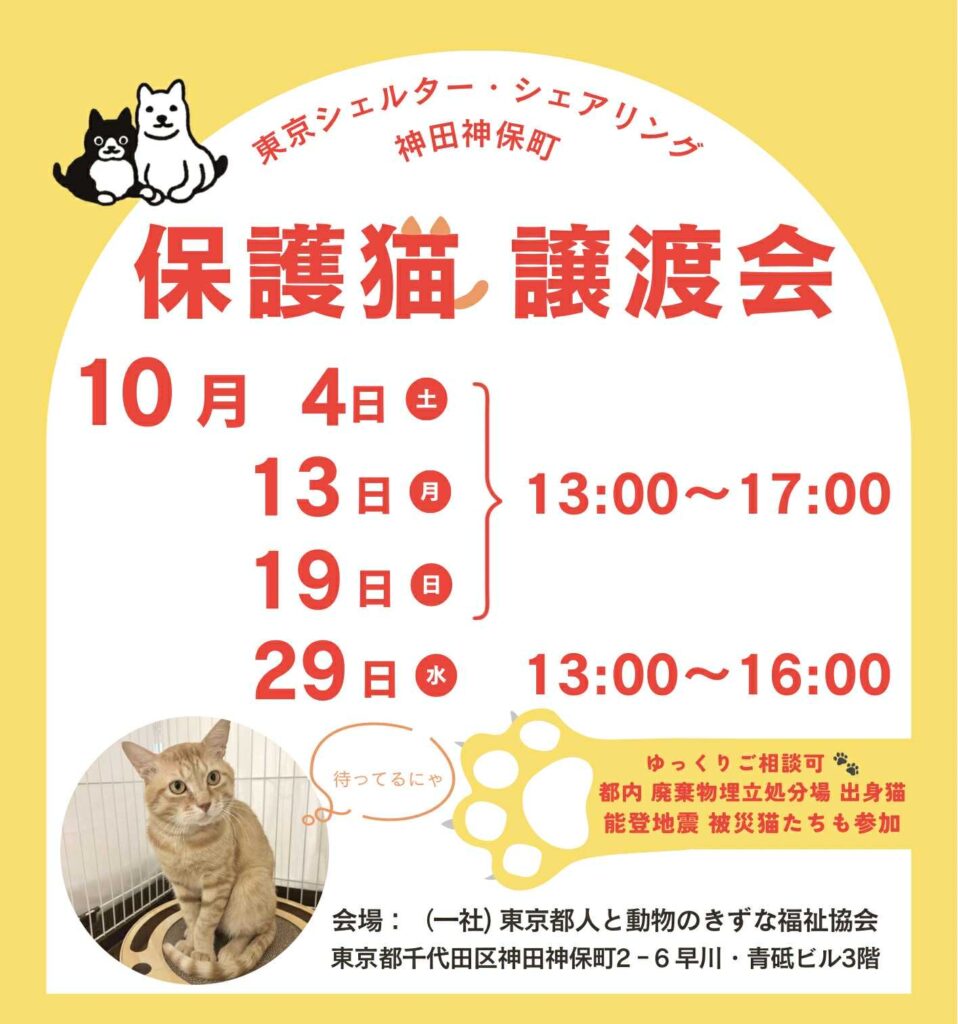 １０月オープンシェルター保護猫譲渡会のご案内