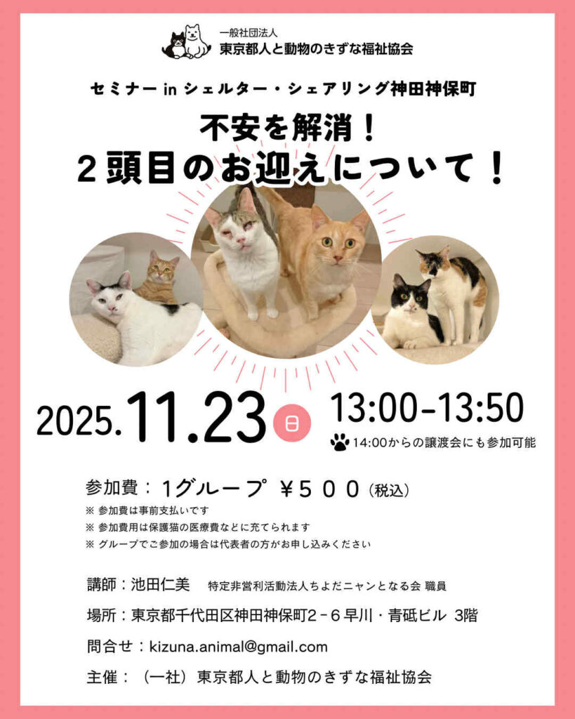 セミナー【不安を解消！2頭目のお迎えについて！】開催