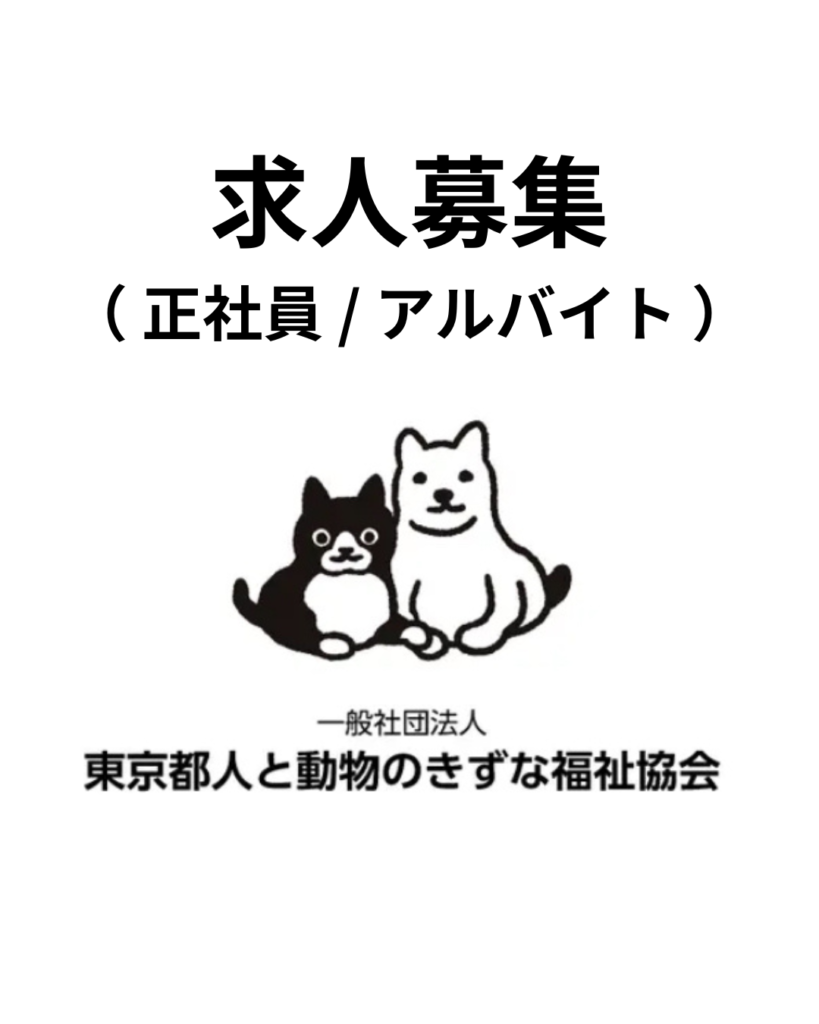 求人募集（正社員／アルバイト）