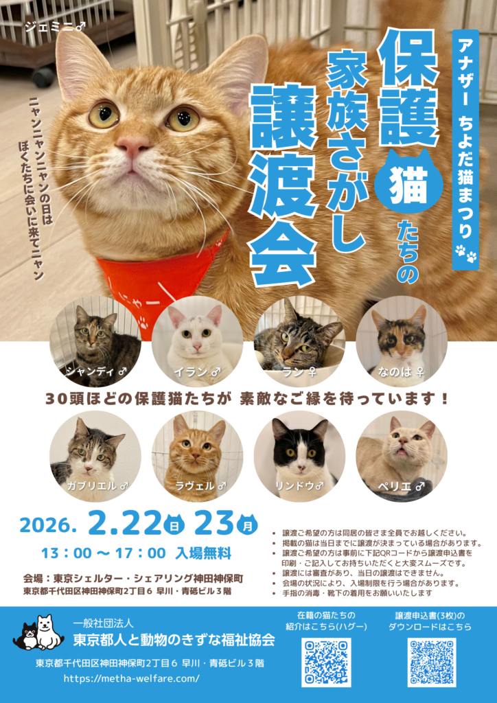 ２月オープンシェルター保護猫譲渡会のご案内