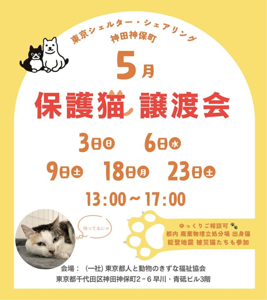 ５月オープンシェルター保護猫譲渡会のご案内