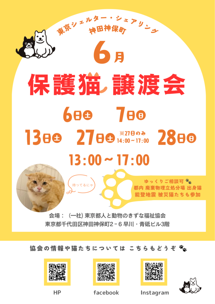 ６月オープンシェルター保護猫譲渡会のご案内