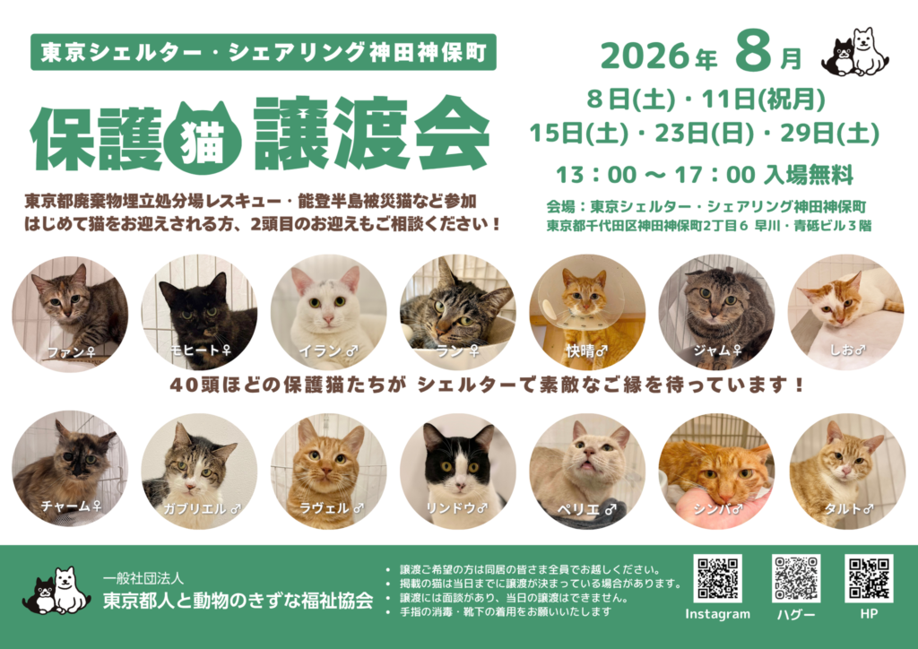 ８月オープンシェルター保護猫譲渡会のご案内
