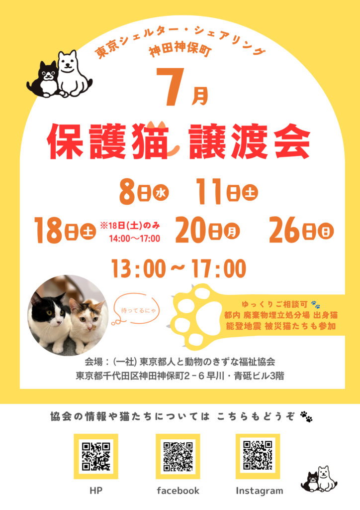 ７月オープンシェルター保護猫譲渡会のご案内