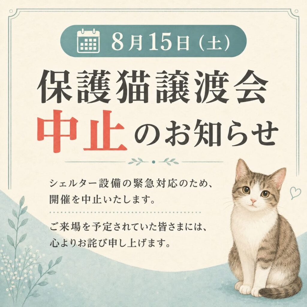 【8月15日（土）保護猫譲渡会 中止のお知らせ】