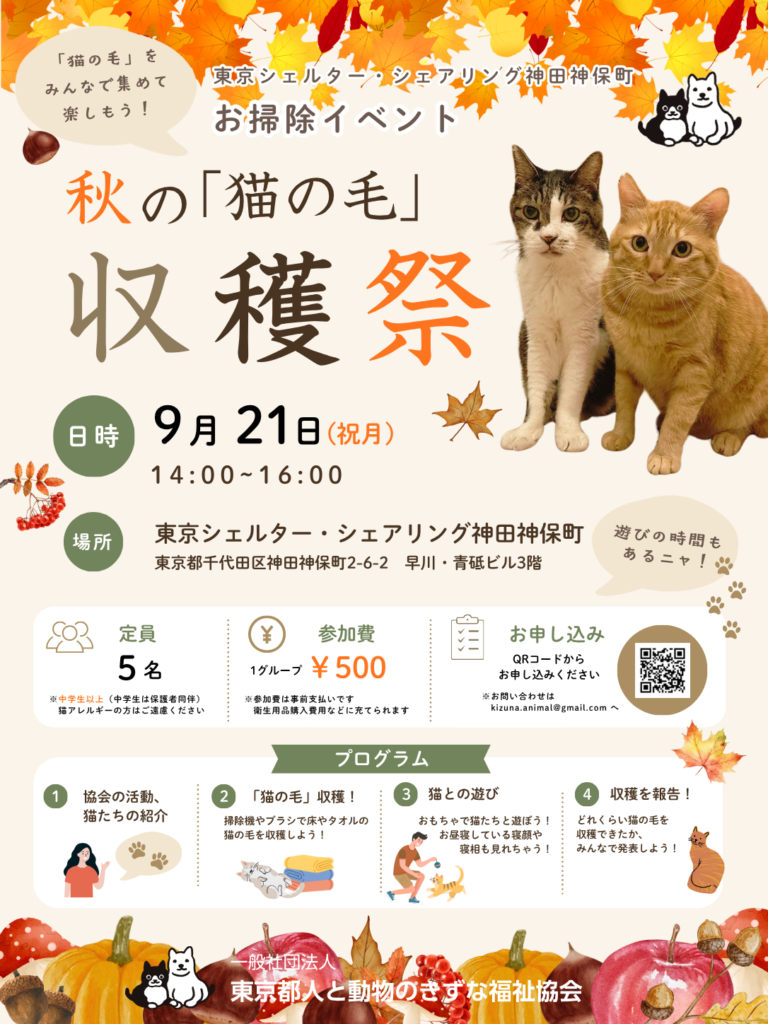 イベント『秋の「猫の毛」収穫祭』のお知らせ