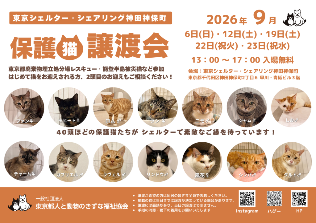 9月オープンシェルター保護猫譲渡会のご案内